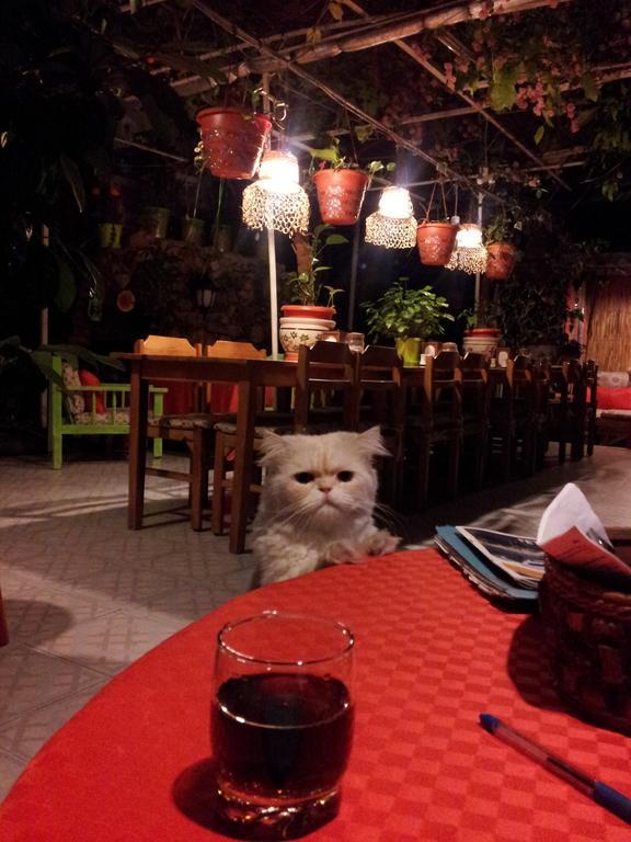 Ferah Hostel Monica'S Place Fethiye Zewnętrze zdjęcie